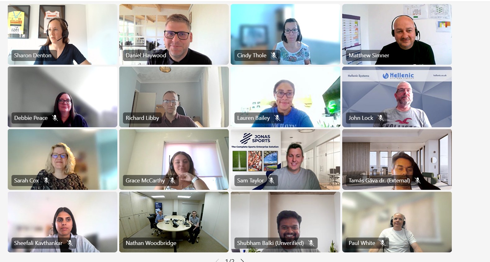 Vesta-Professional-Services-Network